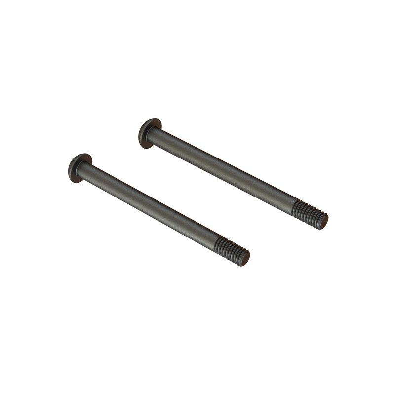 Screw Hinge Pin M4x48mm (2)